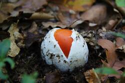 0_131841_c7698d5d_orig.jpg