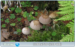 0_113368_9c34a319_orig.png