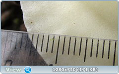 0_115029_f893177c_orig.png