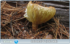 0_e7818_877b5e3f_orig.png