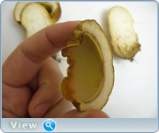 0_130986_fcd2ba26_orig.png