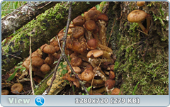 0_f104f_1b49645d_orig.png