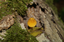 0_d8973_2012c049_orig.png
