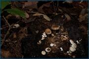 0_d242c_3d6b4250_orig.jpg