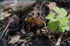 0_cc5cf_4dfa4722_orig.jpg