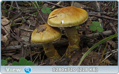 0_ef359_cd08fa64_orig.png