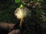 0_6e457_890db924_S.jpg