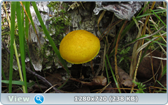0_edacd_8f5d1c81_orig.png
