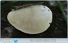0_ef3a4_ddc829f5_orig.png