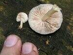 0_712db_8ffb53c1_S.jpg