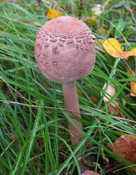 0_8292f_cb72dd9d_M.jpg