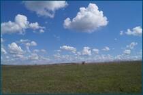 0_cc946_15259508_orig.jpg