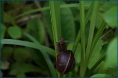 0_ce0a7_d1668583_orig.jpg