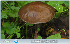 0_ead50_cf268625_orig.png