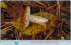 0_f2760_e19a3f3e_orig.png