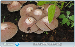 0_e6681_5690ed74_orig.png