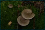 0_d239c_ed31b35c_orig.jpg