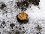 0_7982d_ebc73c38_S.jpg