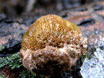 0_798a1_eef38cd1_S.jpg