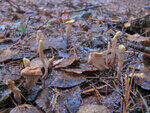 0_79cf8_f5c551bf_S.jpg