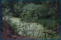 0_d5dfb_e259bc79_orig.jpg