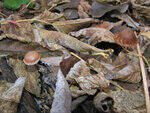 0_79194_c15bb17f_S.jpg