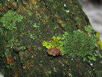 0_7a38e_6c5880f4_S.jpg