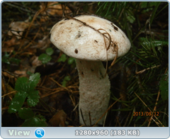 0_eb6f8_2bd2bc78_orig.png