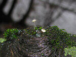 0_79850_68b2544c_S.jpg