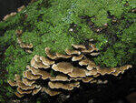 0_7989a_10cb2ae1_S.jpg