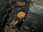 0_79f3e_765f14b6_S.jpg