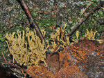 0_79f98_365ea36_S.jpg