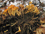 0_7a07f_c00459bf_S.jpg