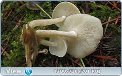 0_eacfe_d52e6792_orig.png
