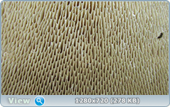 0_ef3a6_a9e3e32d_orig.png