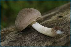0_ce121_c7150970_orig.jpg