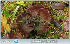 0_f27e8_e99545fa_orig.png