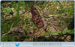 0_10648d_903d0cc2_orig.png