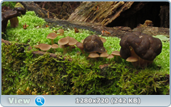 0_107064_542aeb1c_orig.png