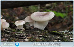 0_10bb6f_e1703f8f_orig.png