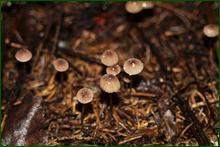 0_e9cc9_9573274c_orig.png