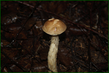 0_e9cdf_9b32e613_orig.png