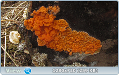 0_103885_e19ac4a7_orig.png