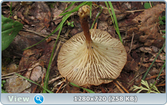 0_10b57a_38aff7a6_orig.png