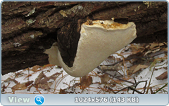 0_123d95_f44d9d83_orig.png