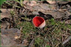 0_11f072_4015969a_orig.jpg