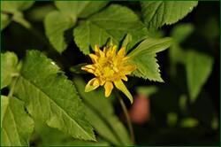 0_140958_9365fc63_orig.jpg