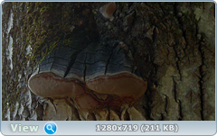0_102058_83ab0421_orig.png