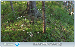 0_112141_a66e3d1d_orig.png