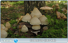 0_112b04_46820e0d_orig.png